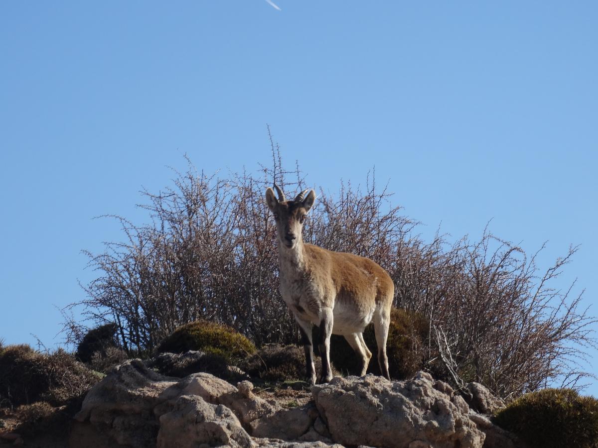 Hotel Rural Fuente La Teja Guejar Sierra Luaran gambar